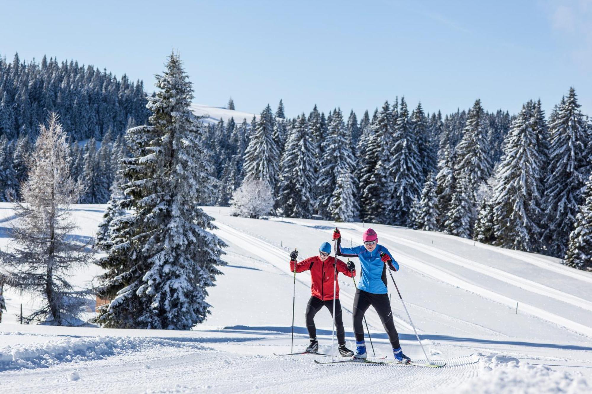 Ferienwohnung Schneelehner, 2-Schlafzimmer, Feldberg 外观 照片